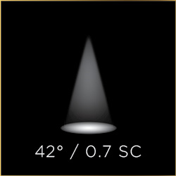 LITEISTRY Beam Spread: Medium 42 degrees