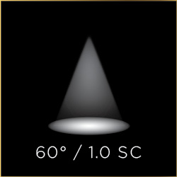 LITEISTRY Beam Spread: Wide 60 degrees